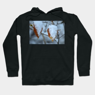 First Snowfall Hoodie